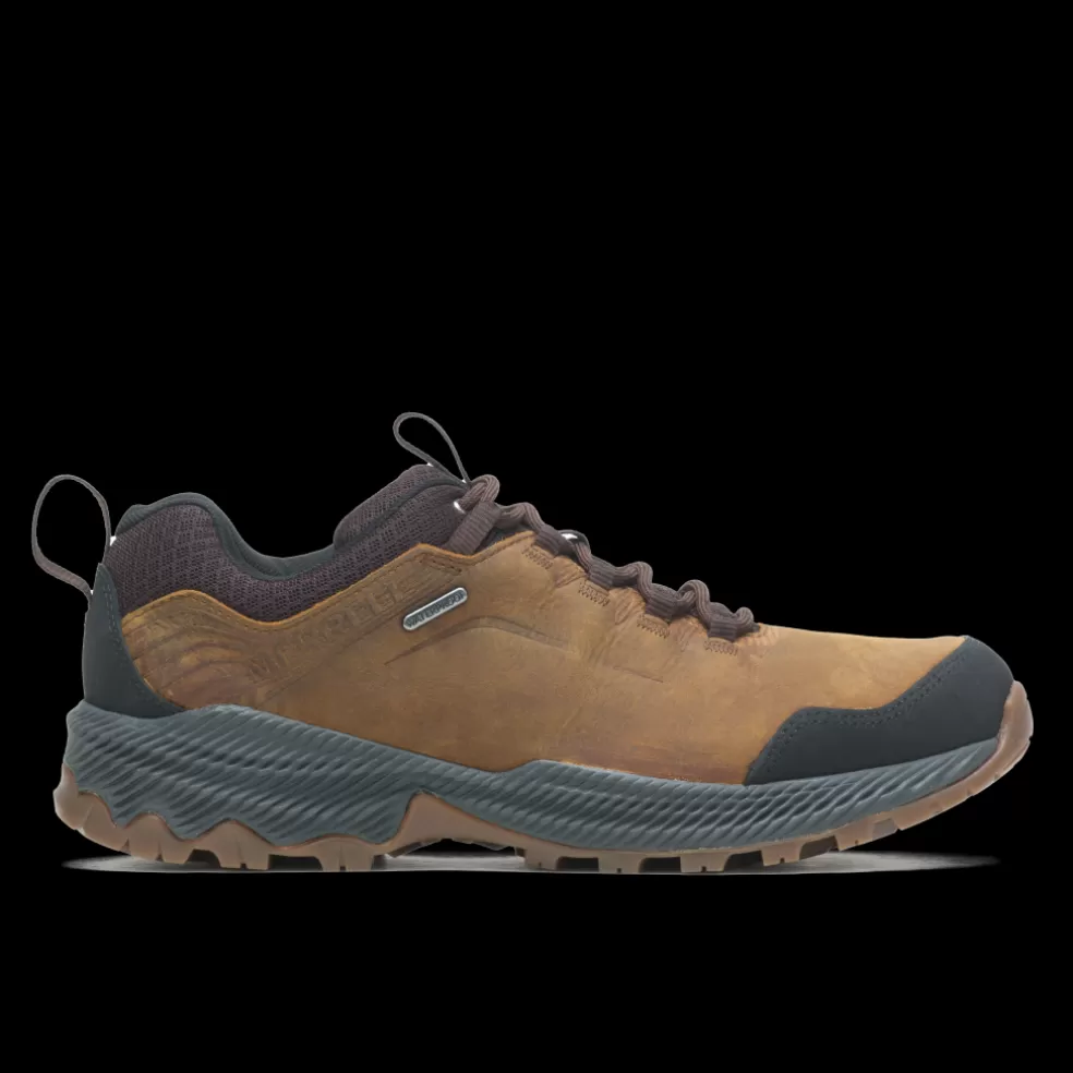 Merrell Forestbound Waterproof Homem